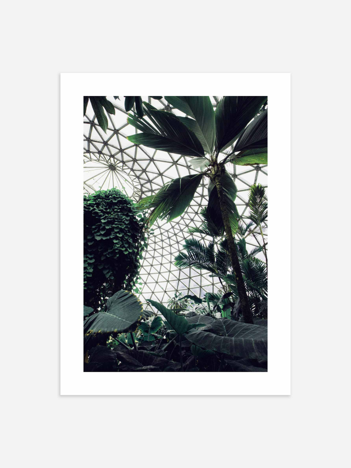 Botanical Garden Poster