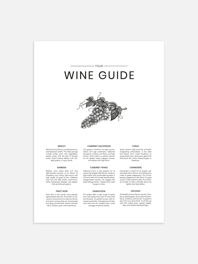 Wine Guide Plakat