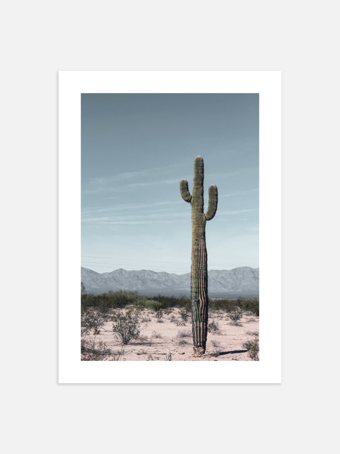 Arizona Cactus Poster