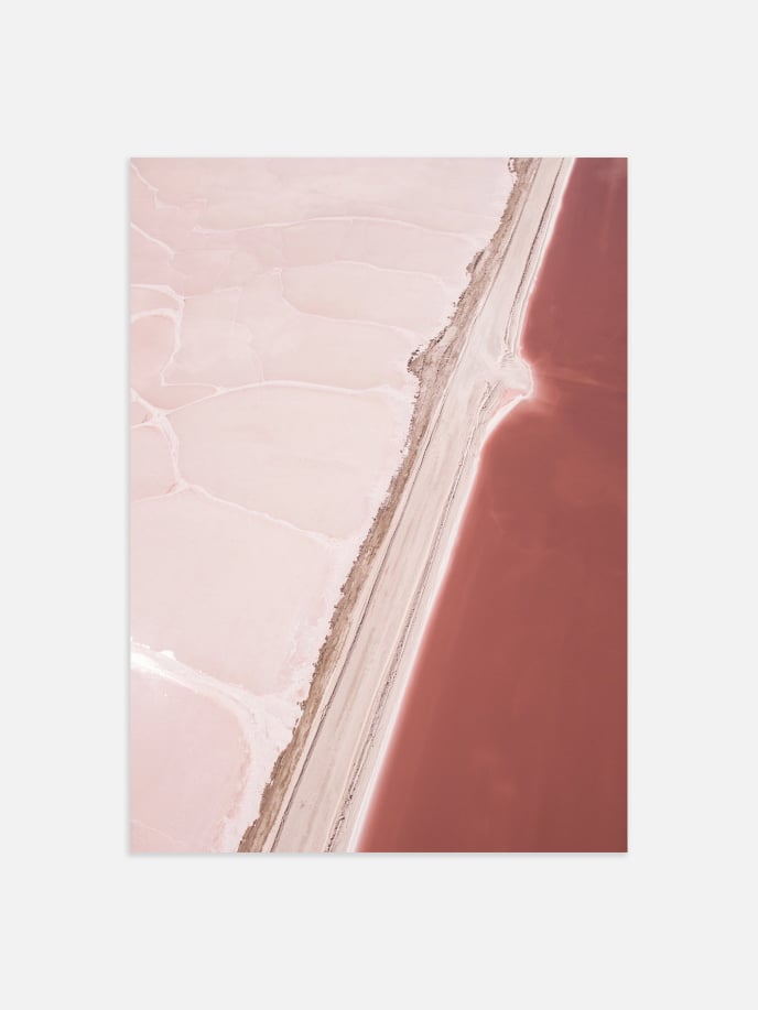 Pink Desert Póster