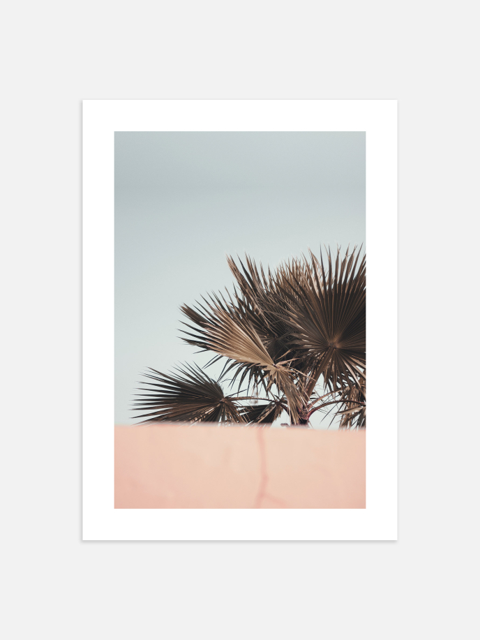 Palm Tree Crown Poster