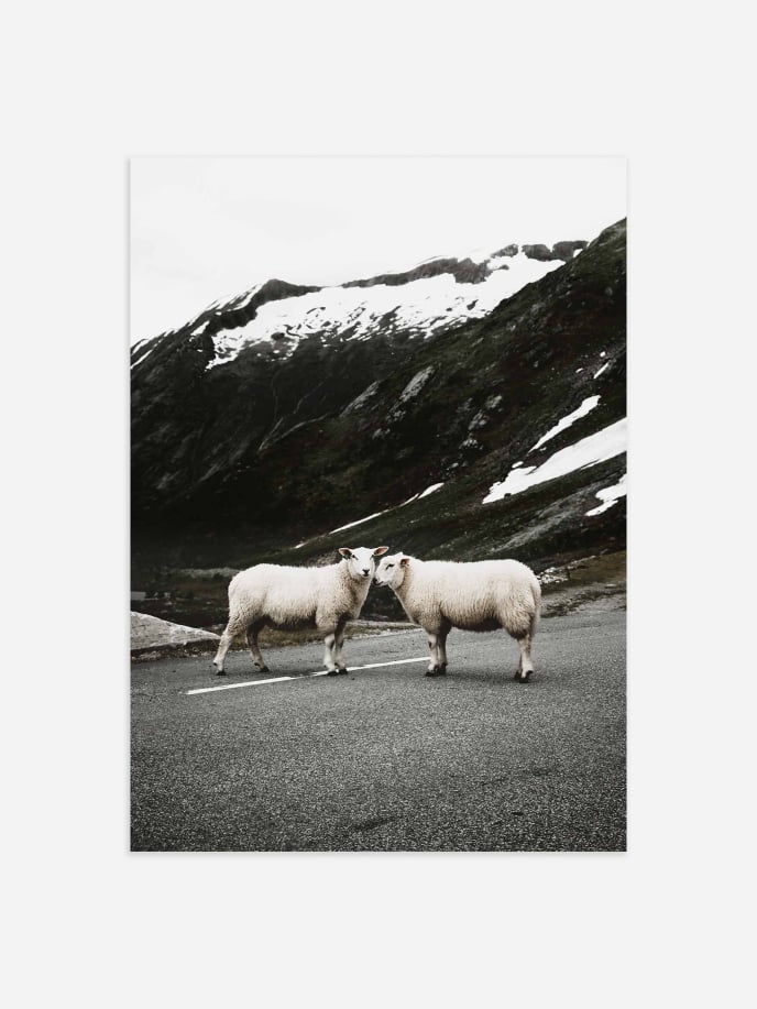 Sheep on the Road Poster