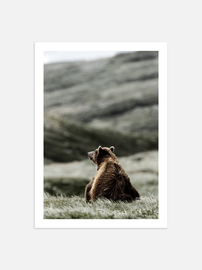 Chilling Bear Poster