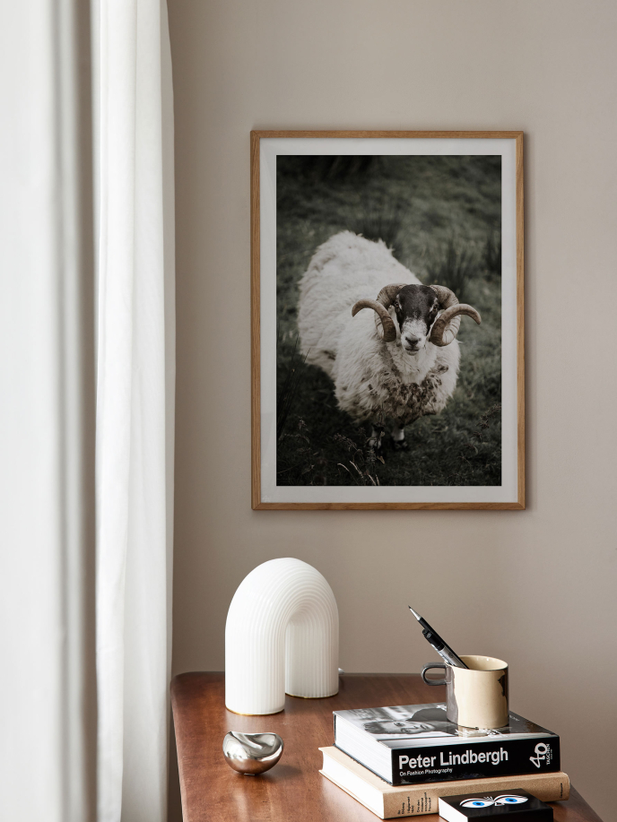 Sheep Plakat