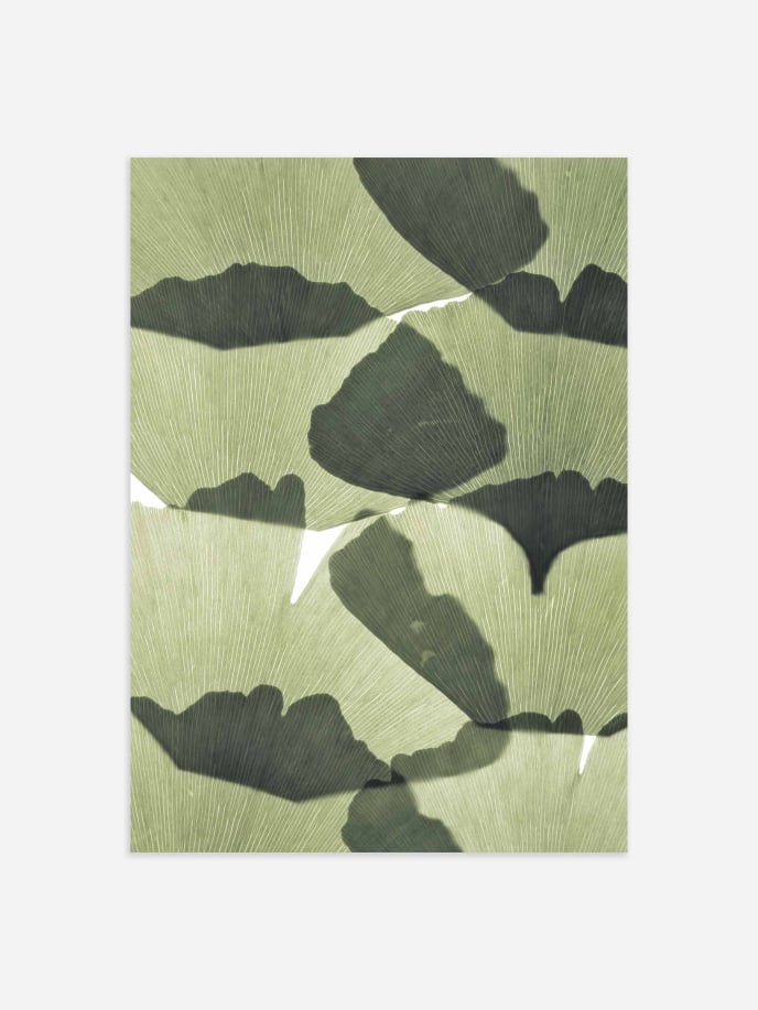 Ginkgo Leaves Poster