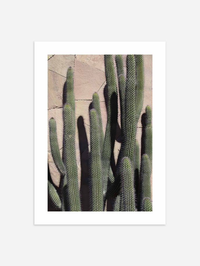 Cactus Wall Poster