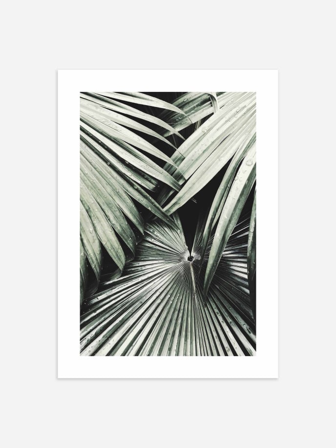 Dark Palm Leaves Poster