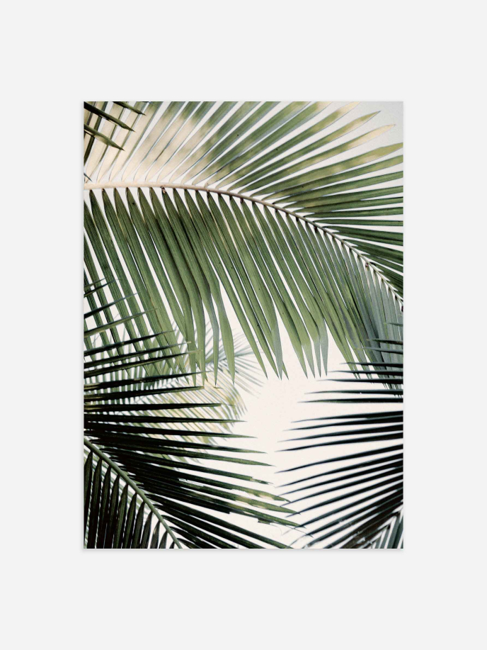 Bright Sky Palm Tree Poster