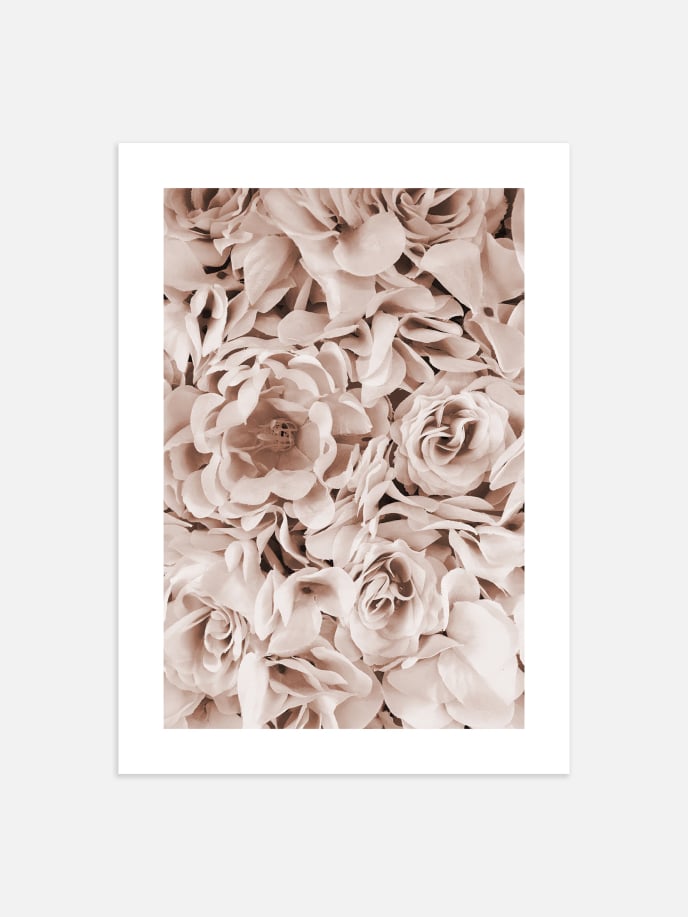 Pale Roses Poster