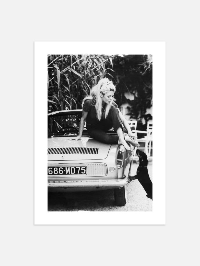 Brigitte Bardot Plakat
