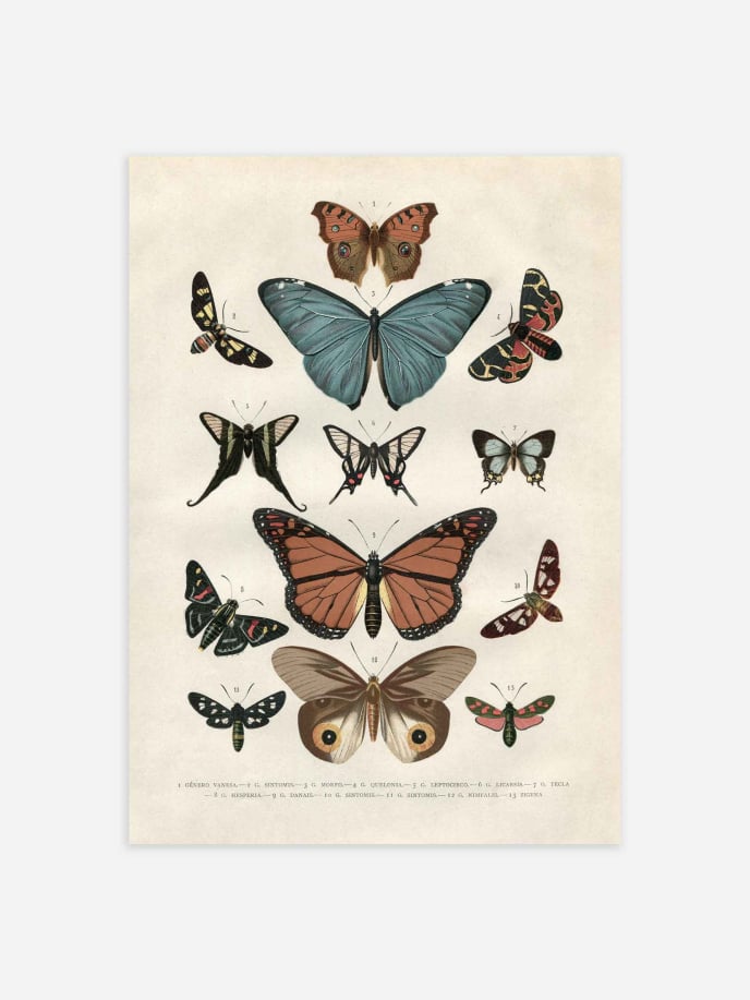 Vintage Butterflies Plakat