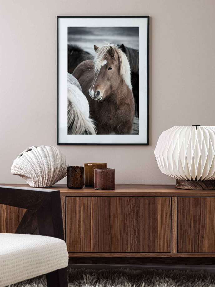 Icelandic Horse Plakat