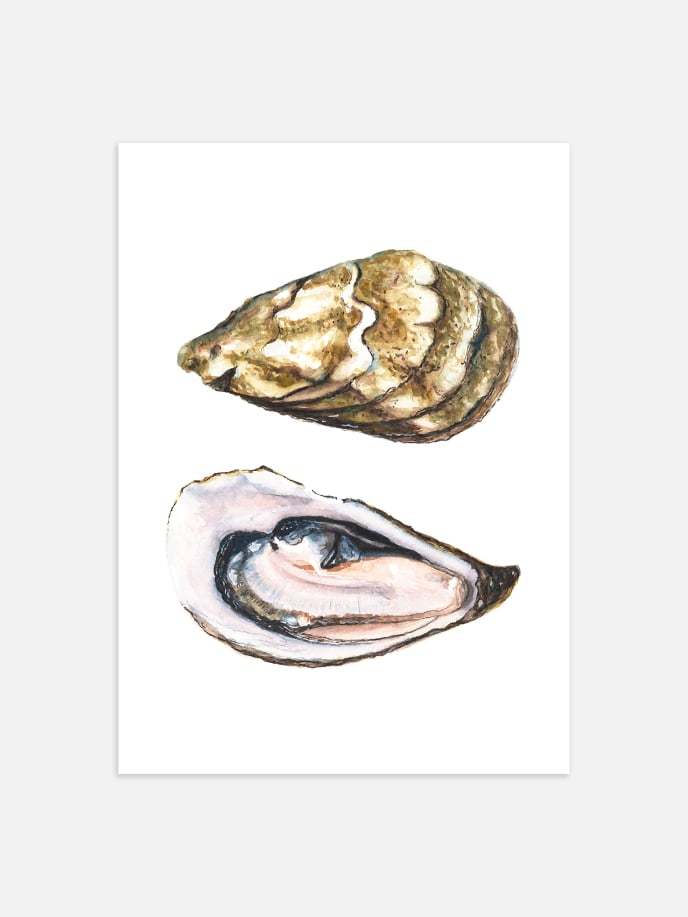 Watercolor Oyster Poster
