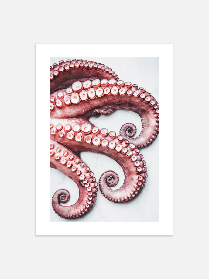Octopus Arms Poster