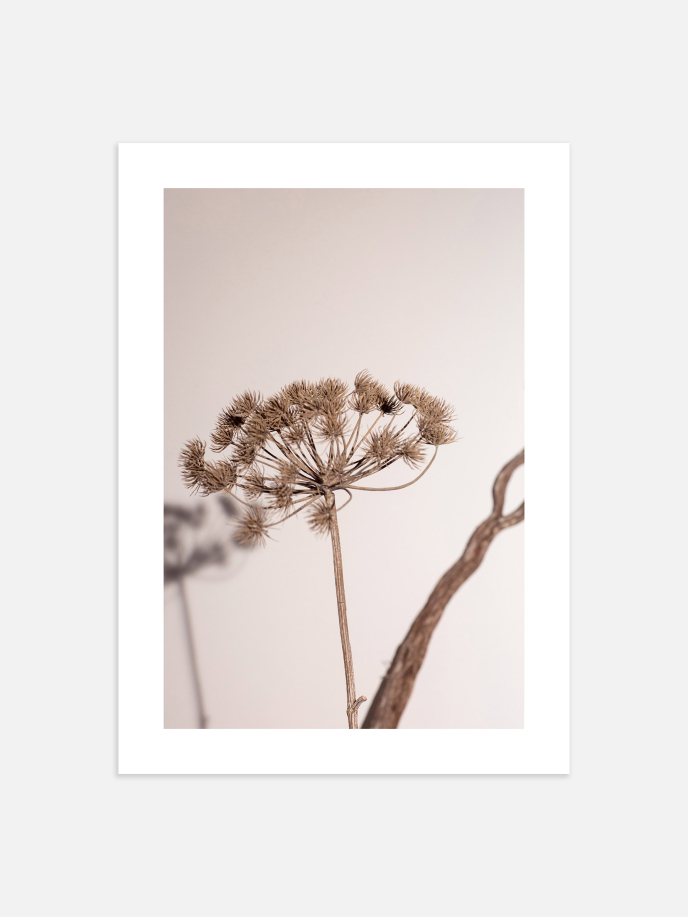 Wilted Flower Poster