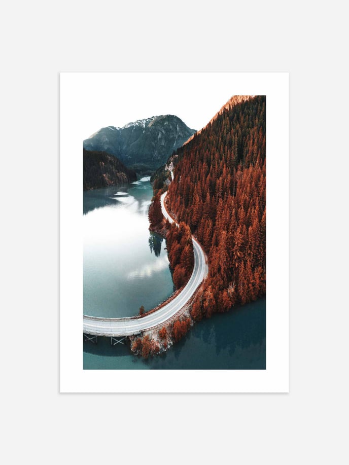 Red Woods Lake Poster