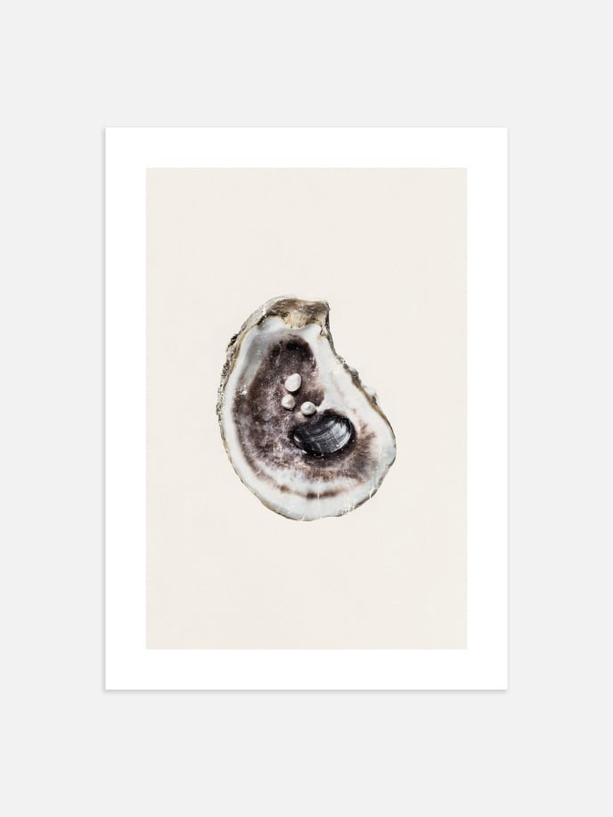 Empty Oyster Poster