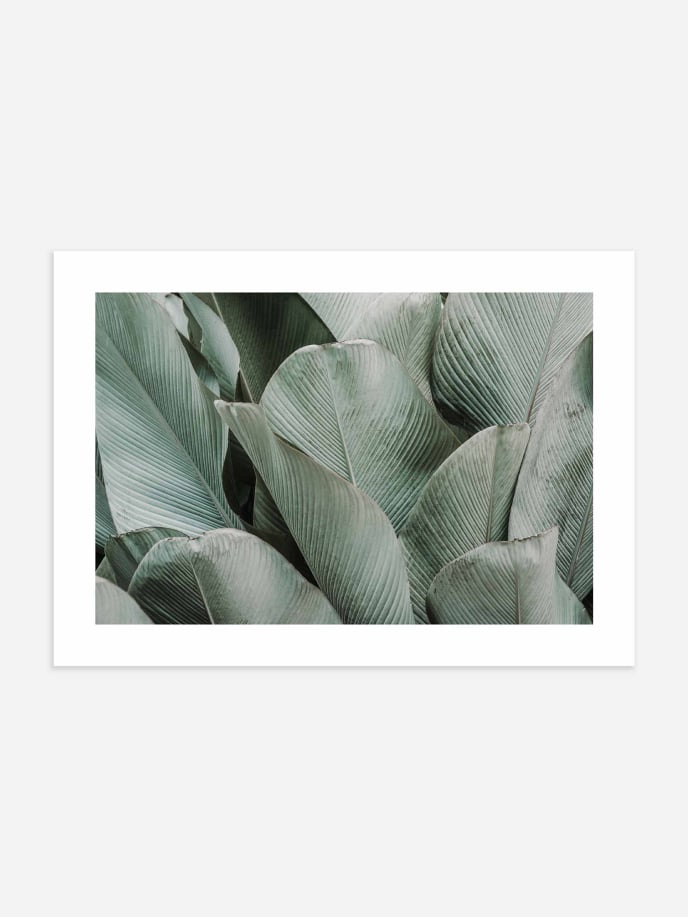 Green Tropical Leaves Poster