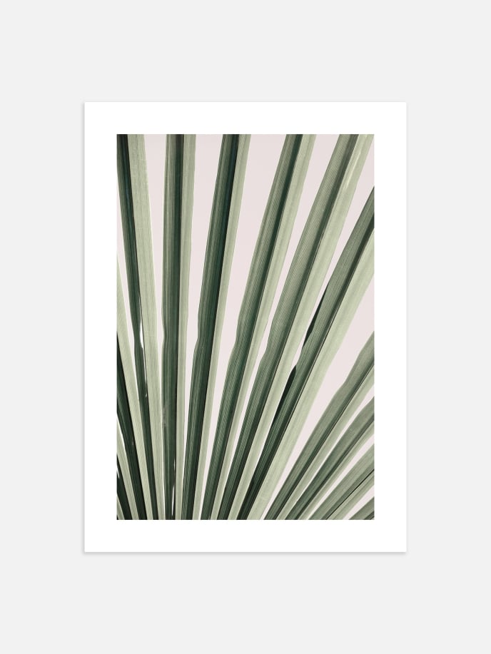 Tropical Palm Leaf No.2 Poster