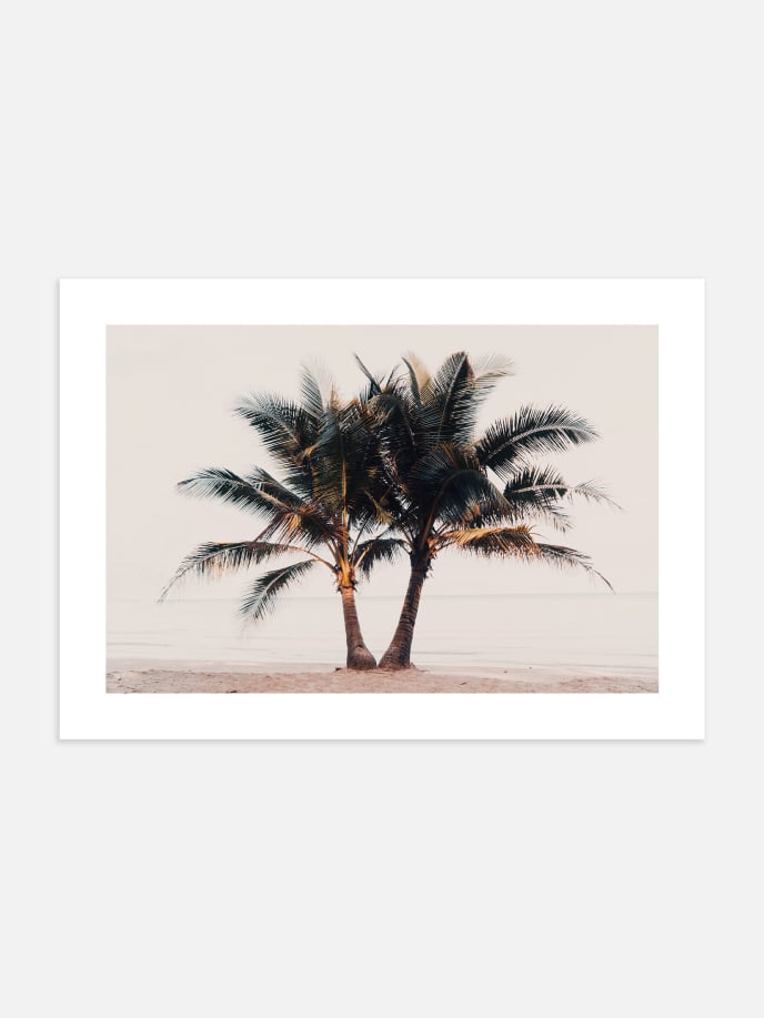 Golden Hour Palm Poster