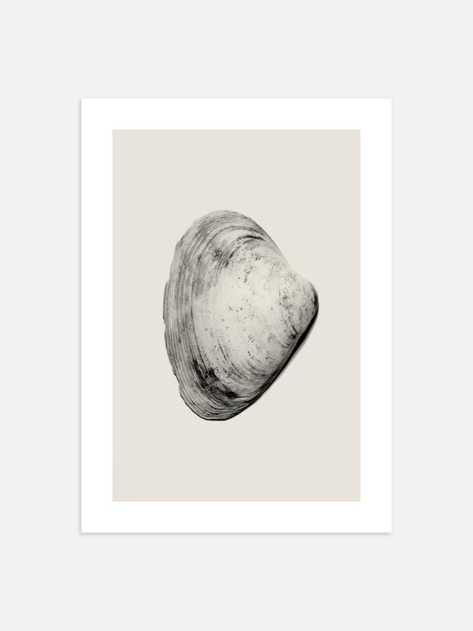 Beige Shell No.2 Poster