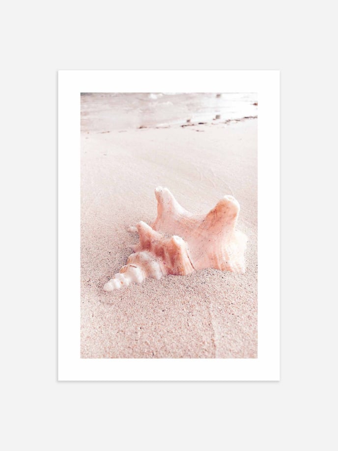 Pink Shell Poster