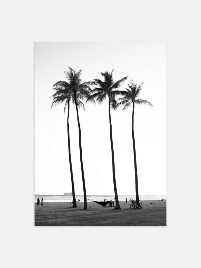Beach Palm Trees Poster