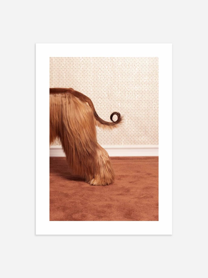 Furry Tail Poster