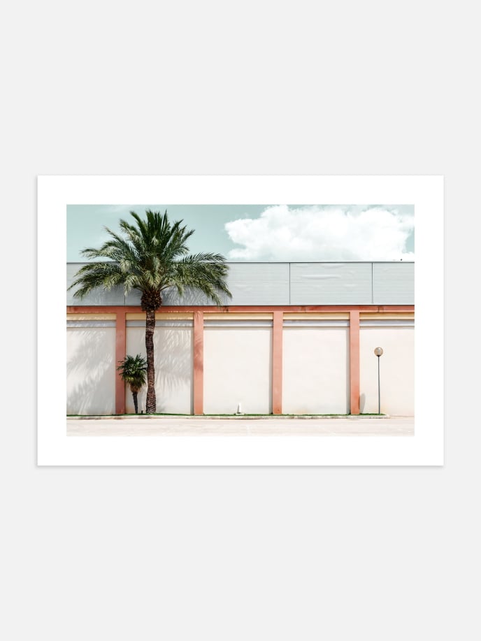 Wall Palm Trees Poster