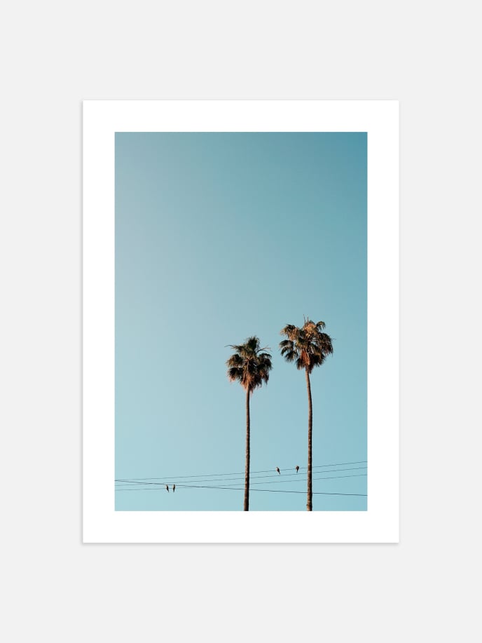 Palm Trees Blue Sky Poster