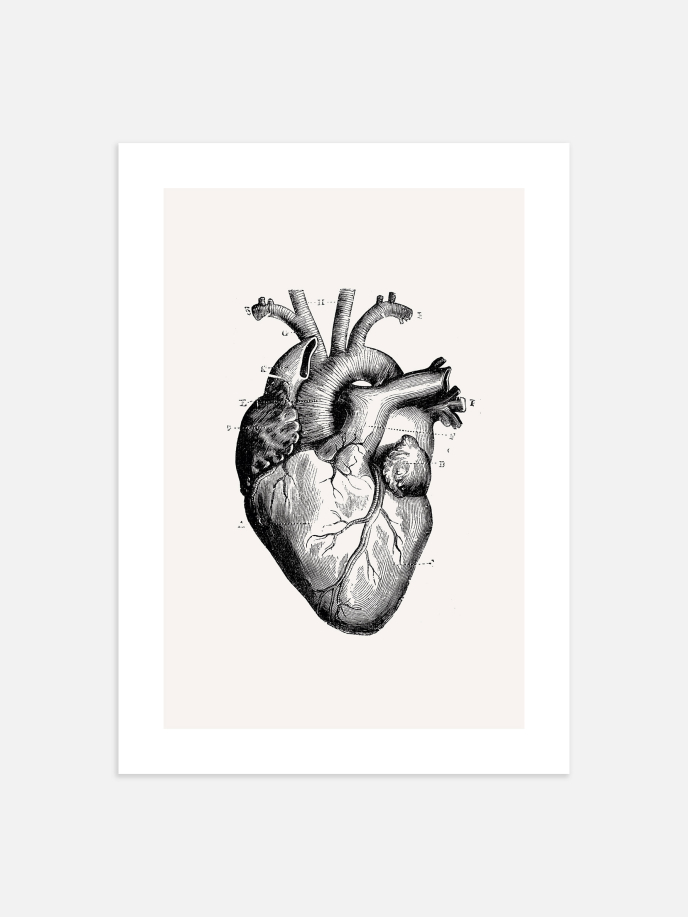 Vintage Heart Plakat