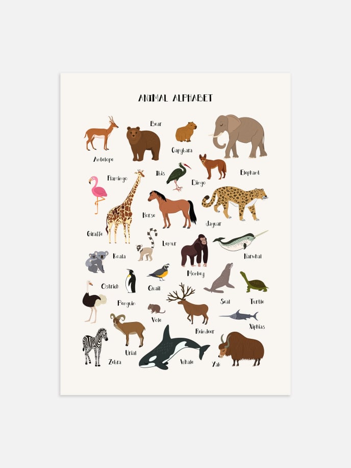 Animal Alphabet Plakat