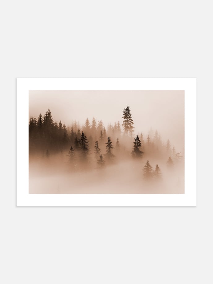 Peaceful Forest Poster