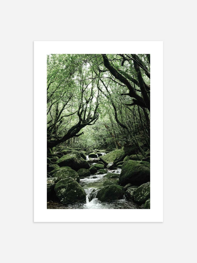 Mystical Forest Poster