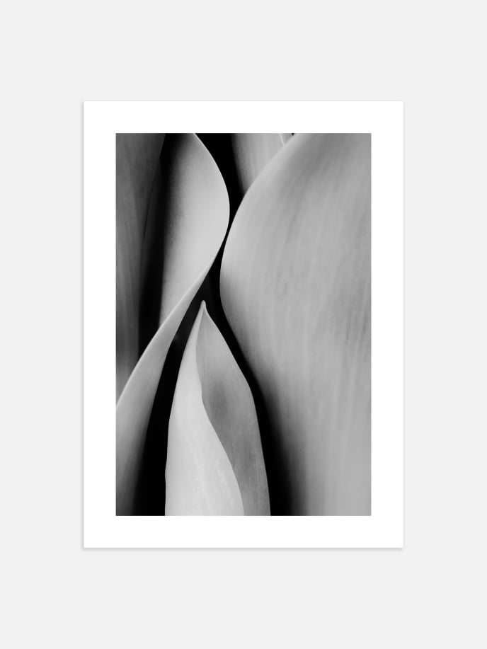 Abstract Leaves Poster