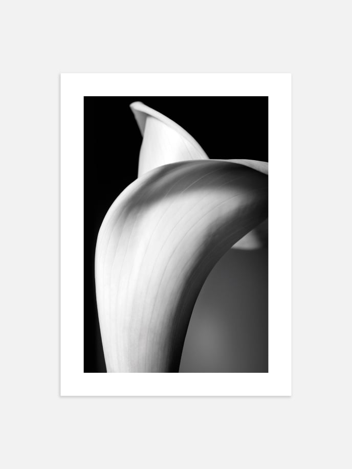 Abstract Lily Poster