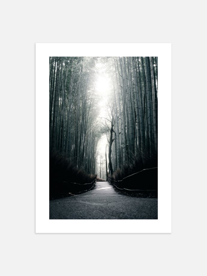 Kyoto Bamboo Grove Poster