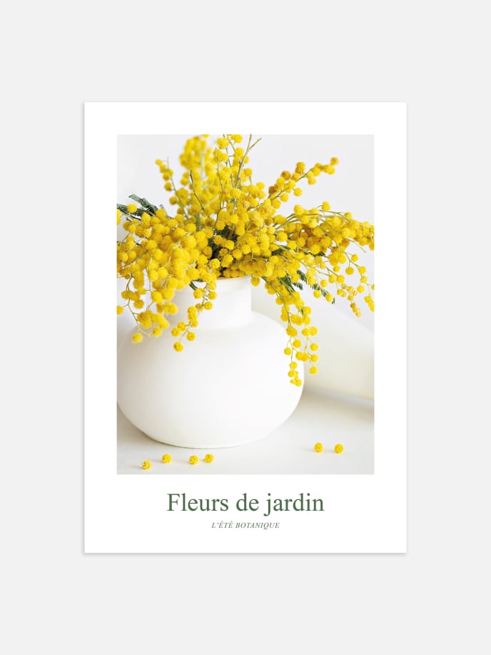Fleurs de Jardin, Mimosas Jaunes Poster