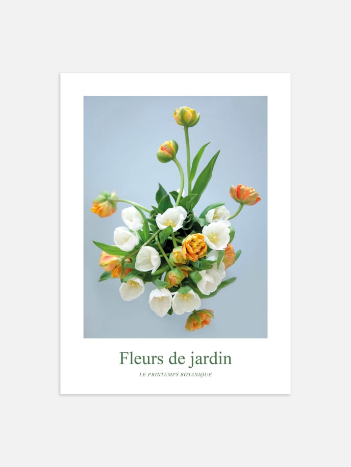 Fleurs de Jardin, Tulipes Poster