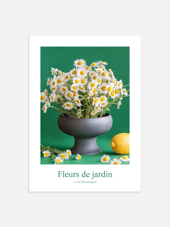 Fleurs de Jardin, Marguerites Poster