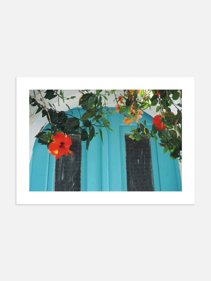 Red Flowers on a Blue Door Poster