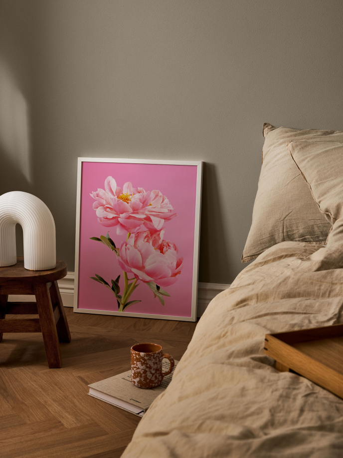 Two Pink Peonies Poster