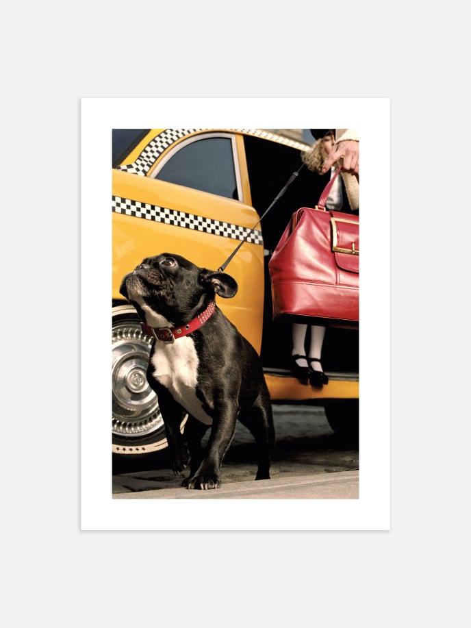 City Dog Poster