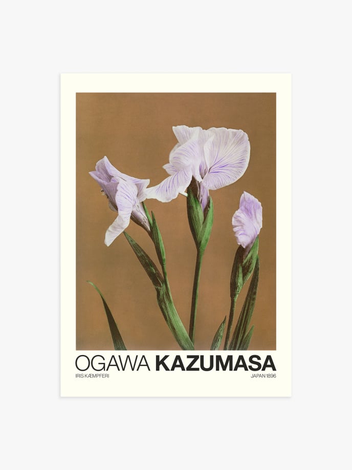 Iris Kæmpferi by Ogawa Kazumasa Póster