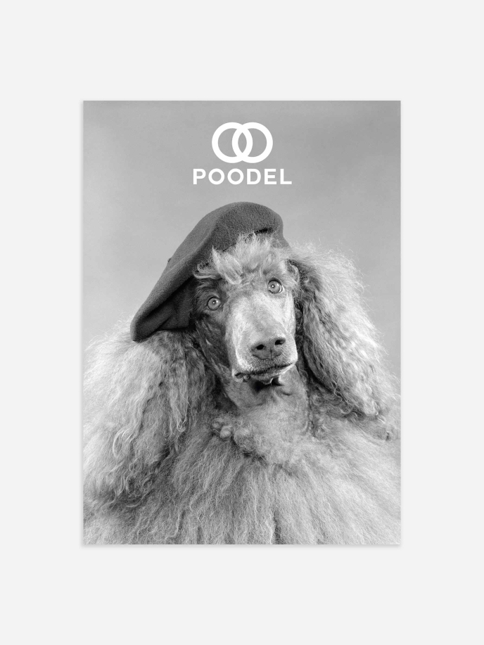 Fashion Poodle Plakat