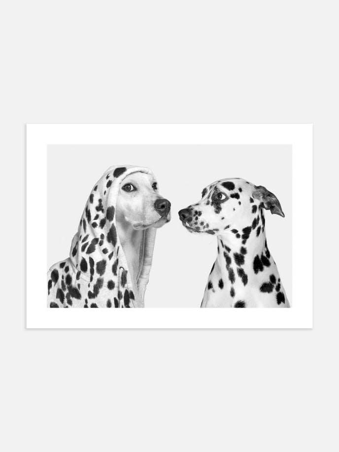Dotty Dogs Poster