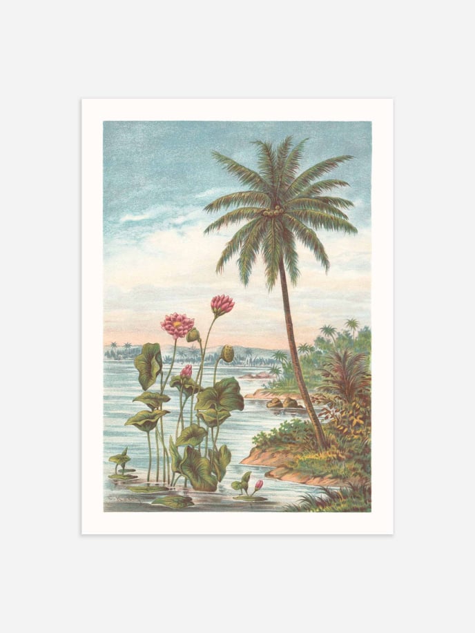 Lotus Flower and Coconut Palm Poster