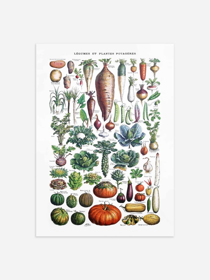 Garden Vegetables Overview Poster