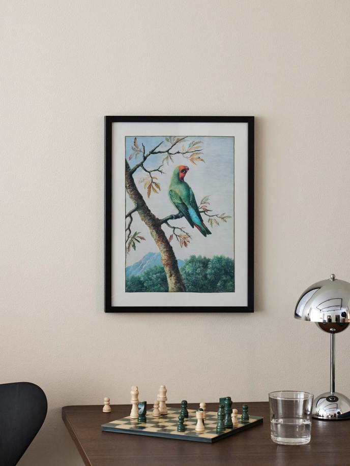 Parrot in the Jungle Poster