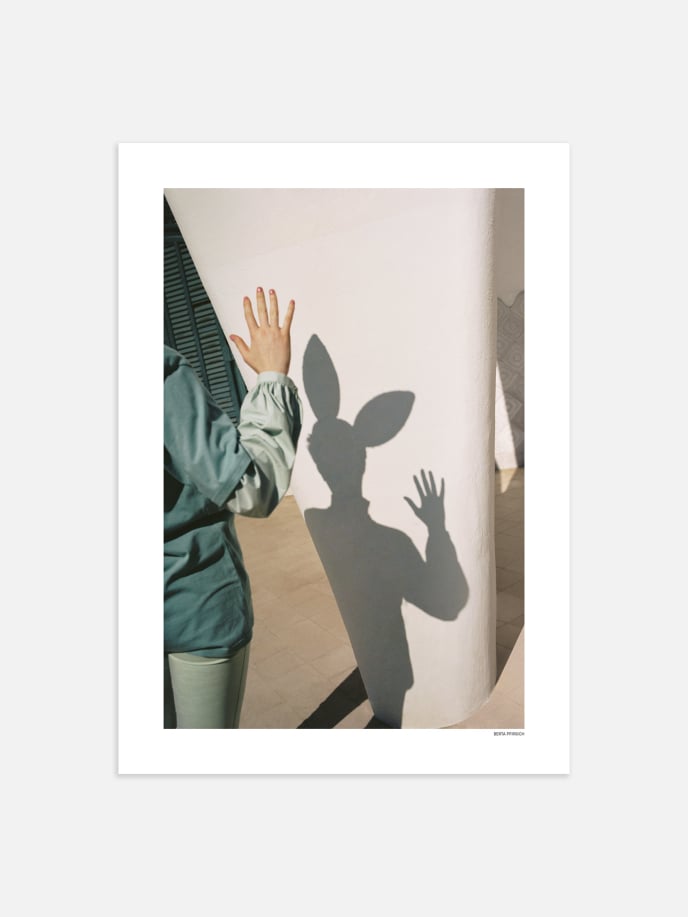 Rabbit Shadow Plakat